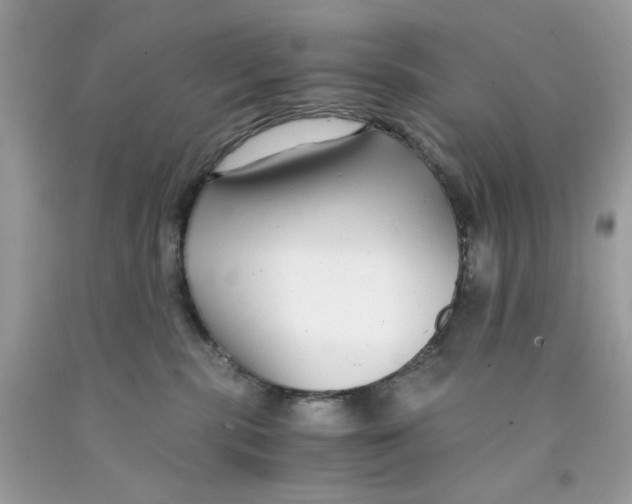 X0000091060283200709041205