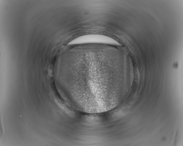 X0000091060284200709041205