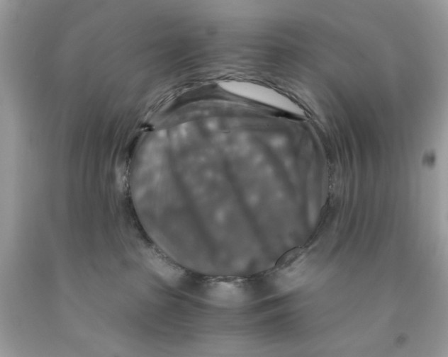 X0000091060285200709041205