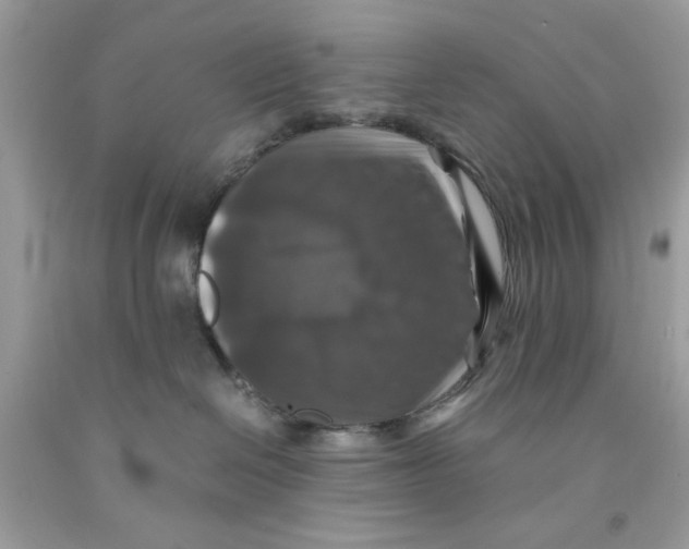 X0000091060286200709041205