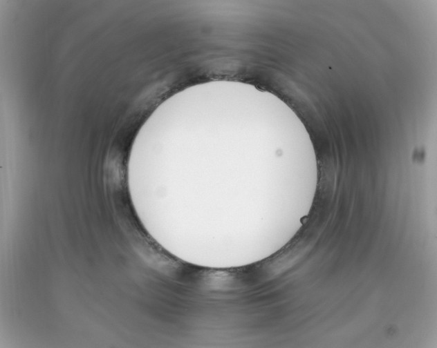 X0000091060287200709041205