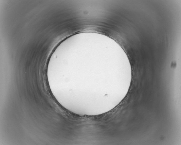 X0000091060289200709041204