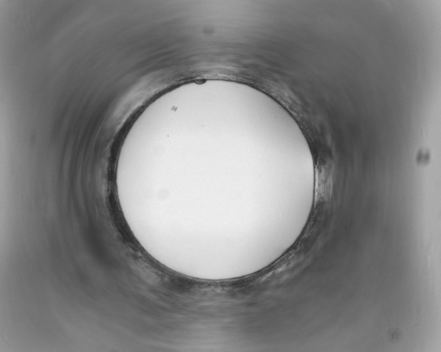 X0000091060291200709041204