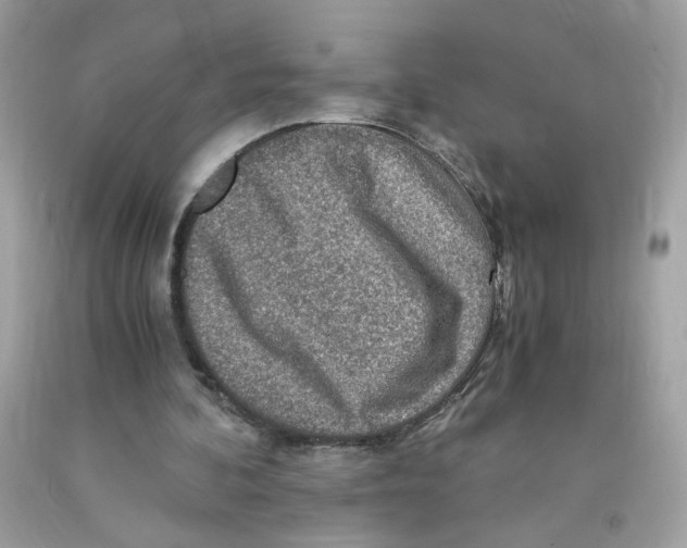 X0000091060292200709041204