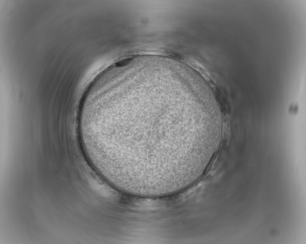 X0000091060293200709041204