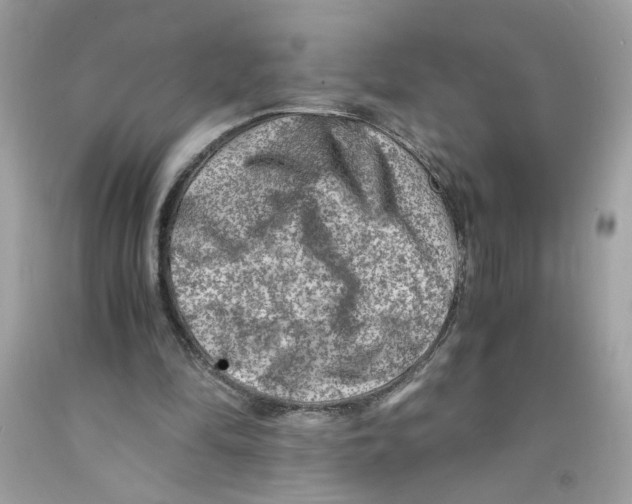 X0000091060294200709041204