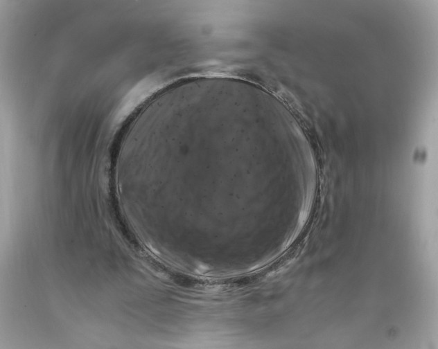 X0000091060295200709041204