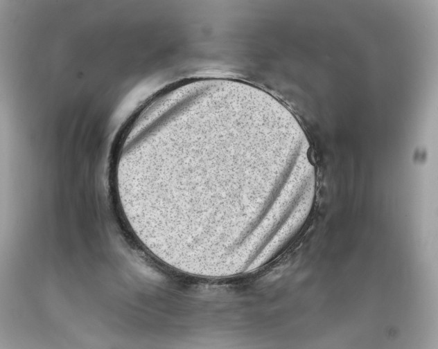 X0000091060296200709041204