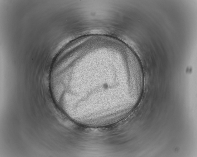 X0000091060297200709041204