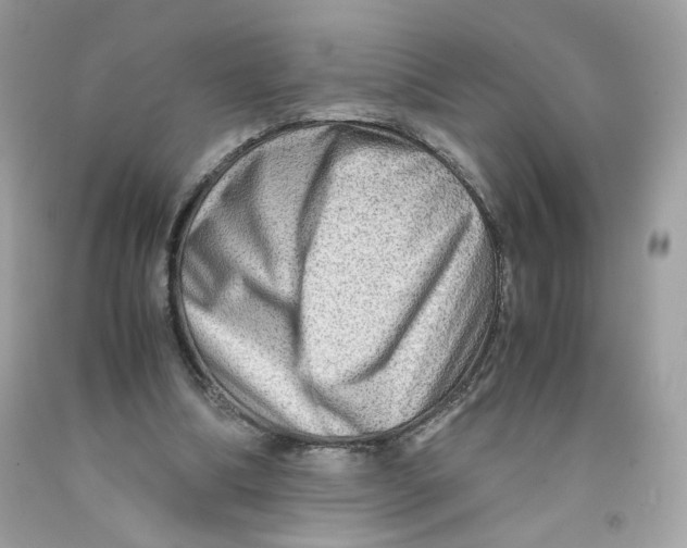 X0000091060298200709041204