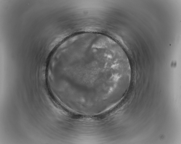 X0000091060299200709041204