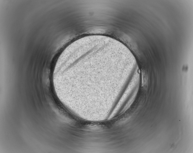 X0000091060300200709041204