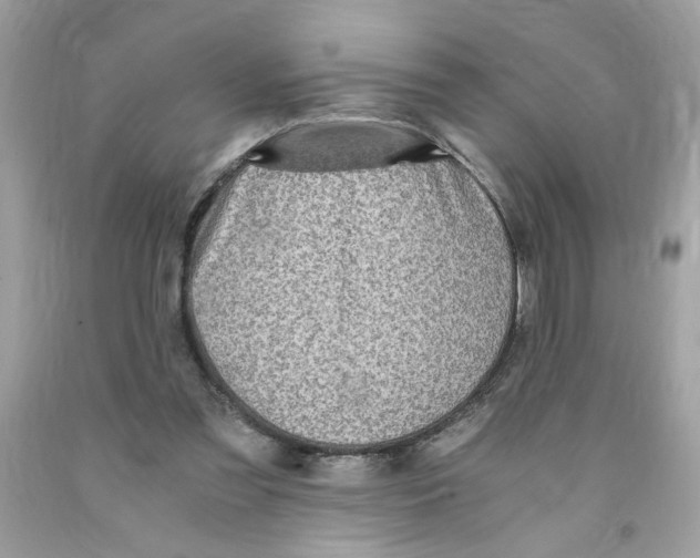 X0000091060301200709041204