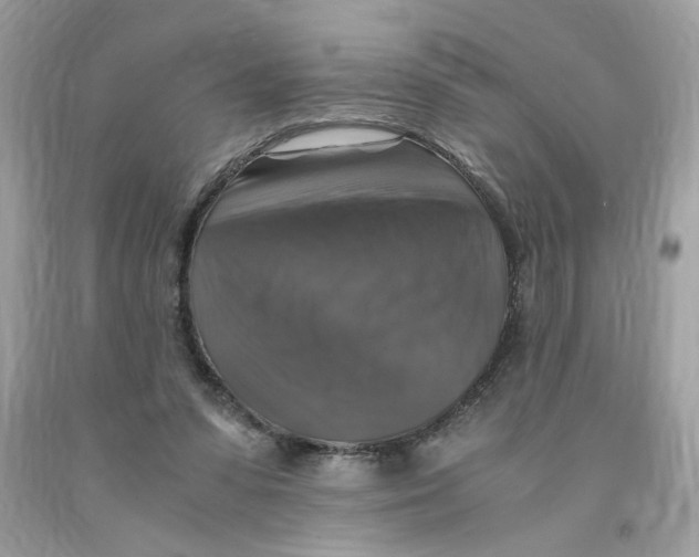 X0000091060303200709041204