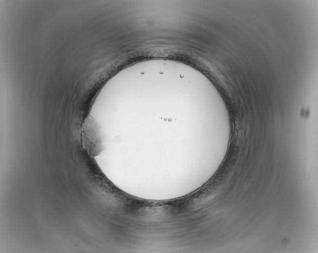 X0000091060307200709041204