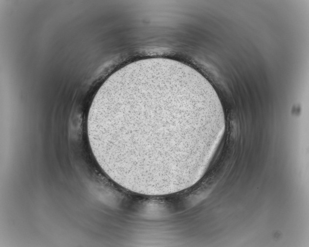 X0000091060308200709041204