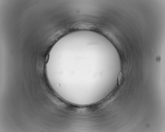 X0000091060309200709041204