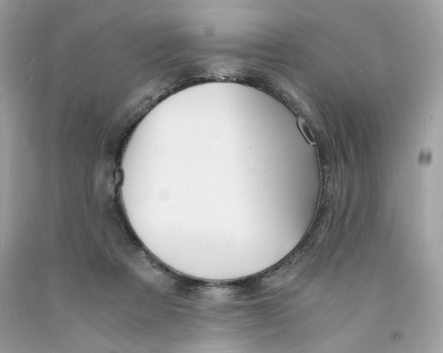 X0000091060313200709041204