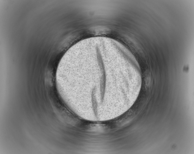 X0000091060316200709041204