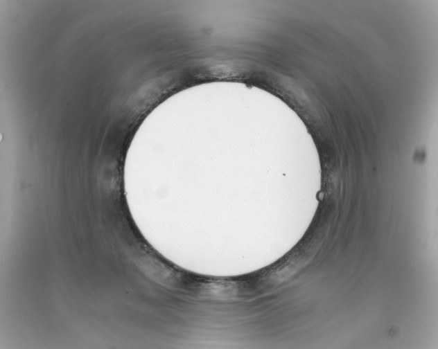 X0000091060317200709041204