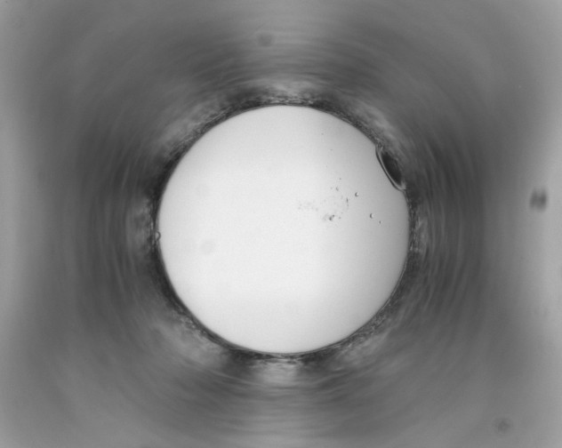 X0000091060318200709041204