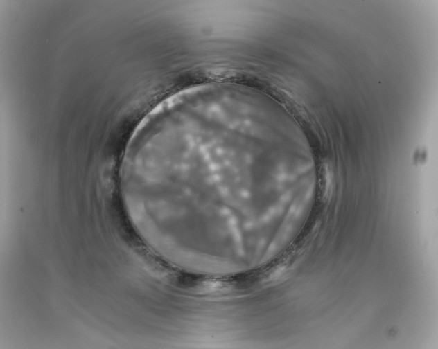 X0000091060319200709041204