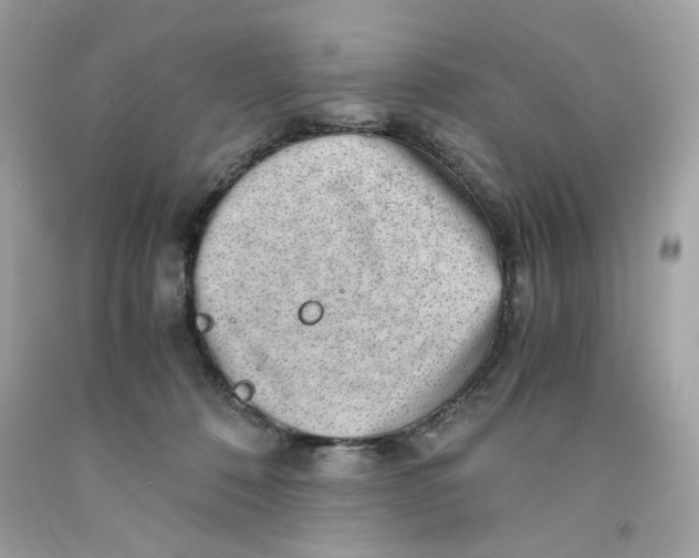 X0000091060320200709041204