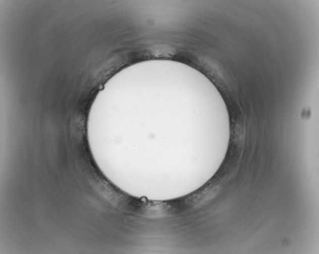 X0000091060321200709041204