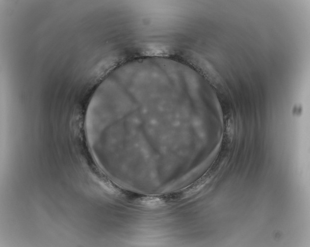 X0000091060322200709041204