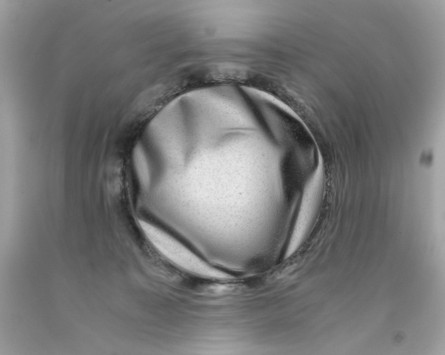 X0000091060323200709041204