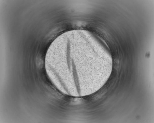 X0000091060324200709041204