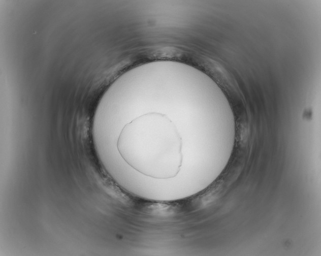 X0000091060326200709041204