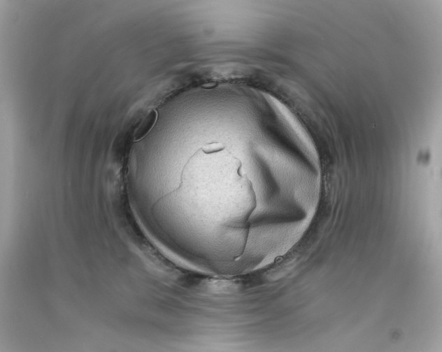 X0000091060327200709041204