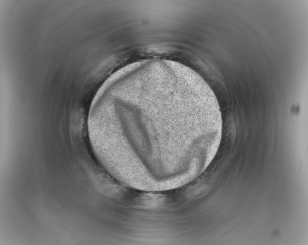 X0000091060328200709041204