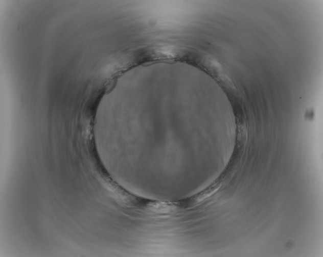 X0000091060331200709041204