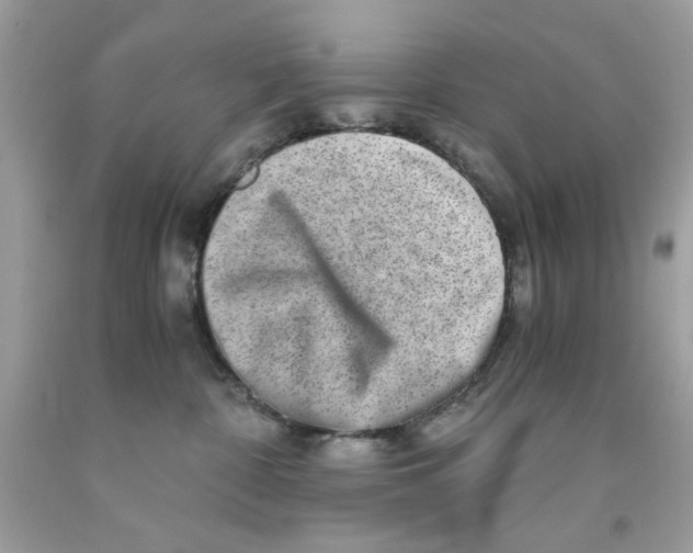 X0000091060332200709041204