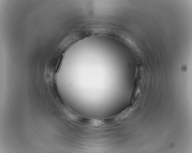 X0000091060333200709041204