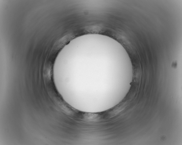 X0000091060334200709041204