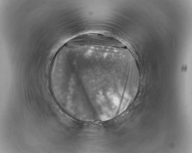 X0000091060337200709041203