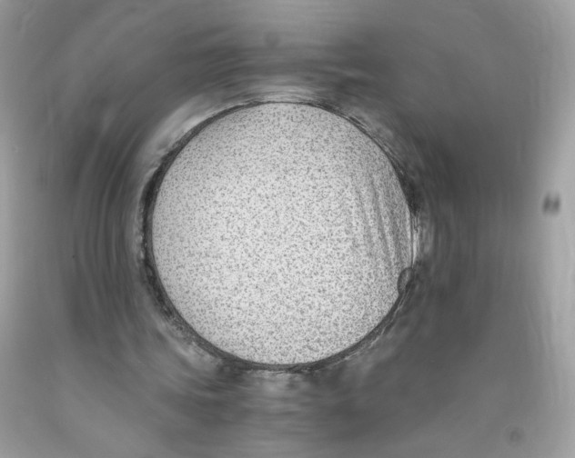 X0000091060339200709041203