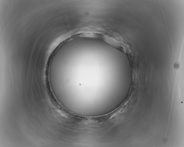 X0000091060340200709041203