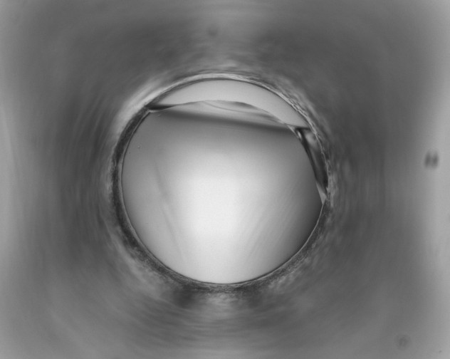 X0000091060344200709041203