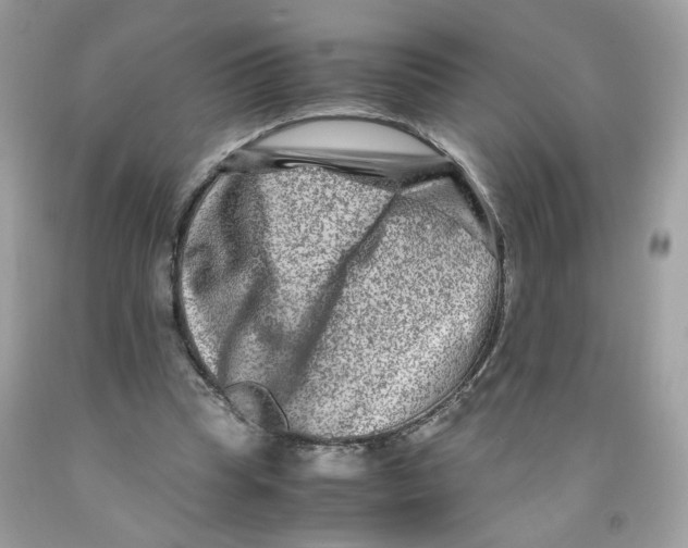 X0000091060345200709041203