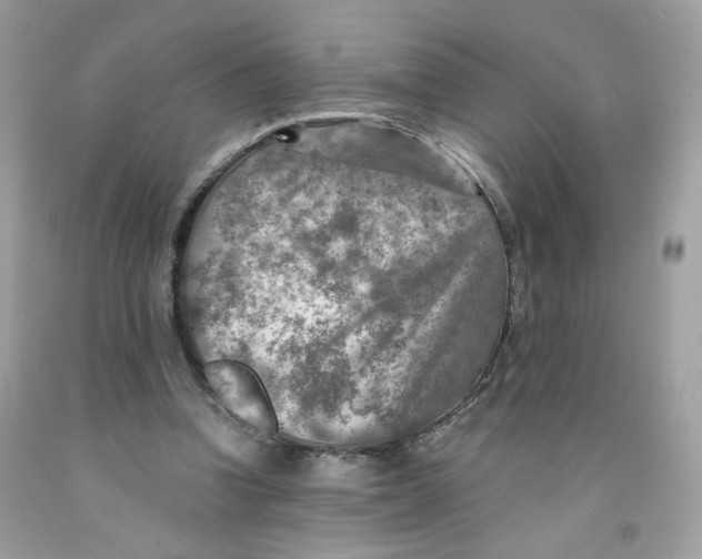 X0000091060346200709041203