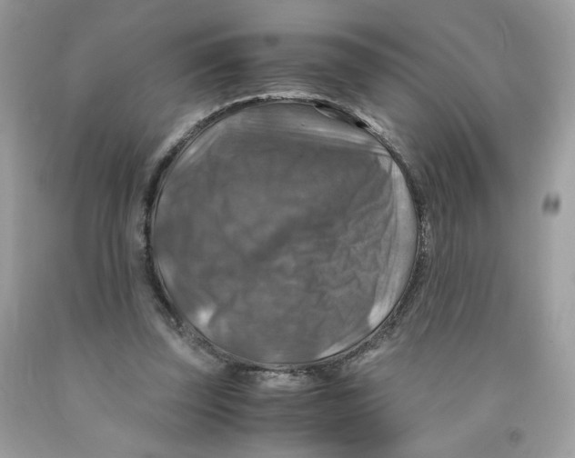 X0000091060347200709041203