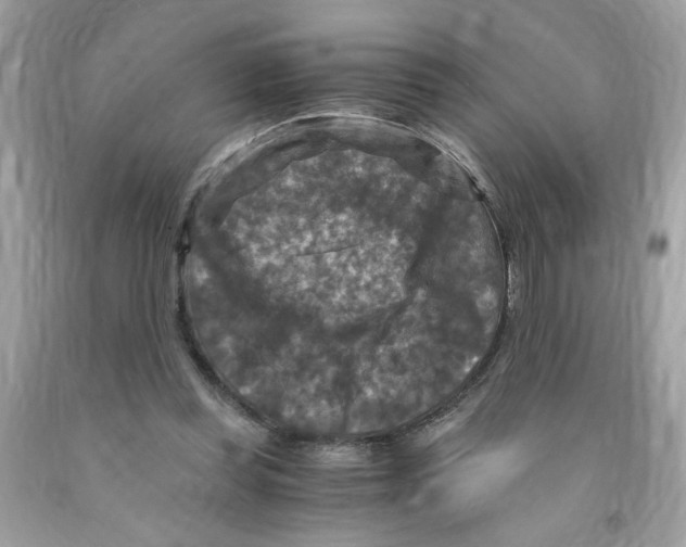 X0000091060349200709041203