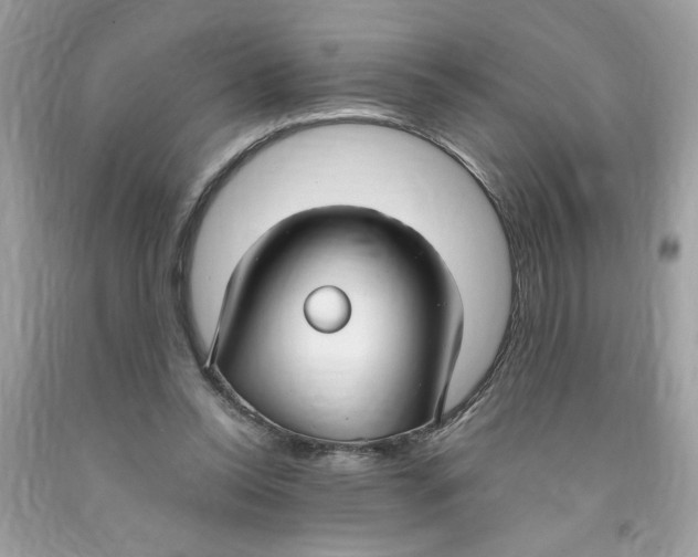 X0000091060350200709041203