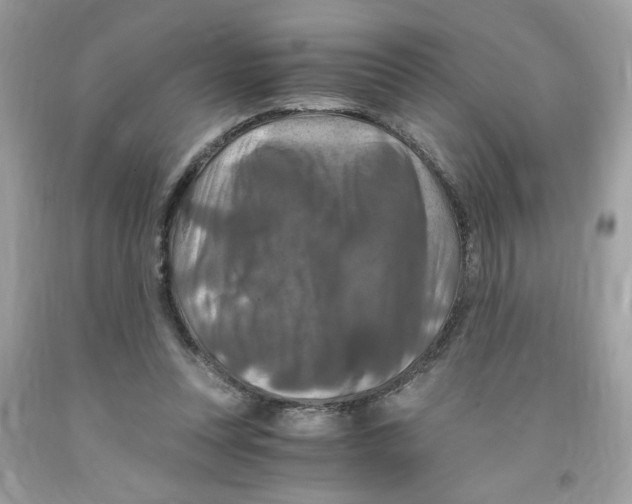 X0000091060351200709041203