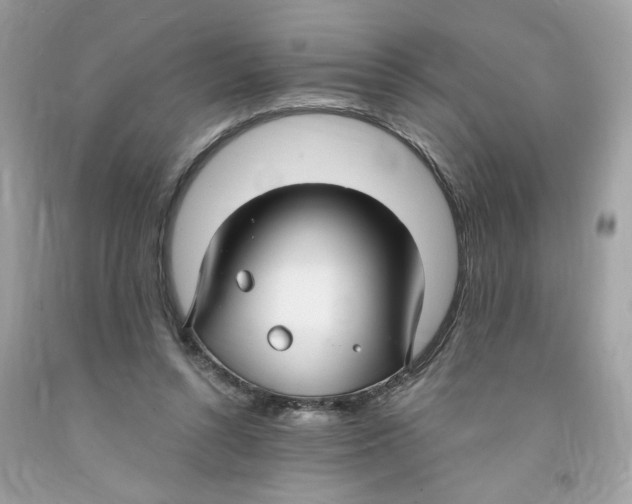 X0000091060352200709041203