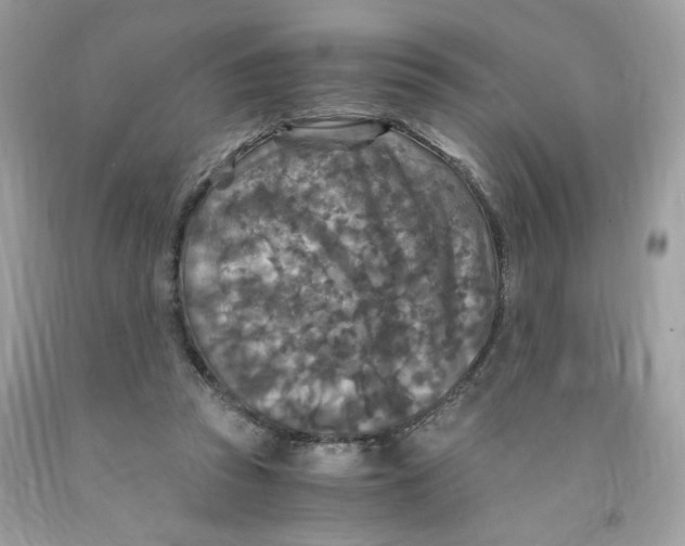 X0000091060353200709041203